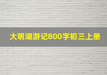 大明湖游记800字初三上册