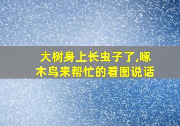 大树身上长虫子了,啄木鸟来帮忙的看图说话