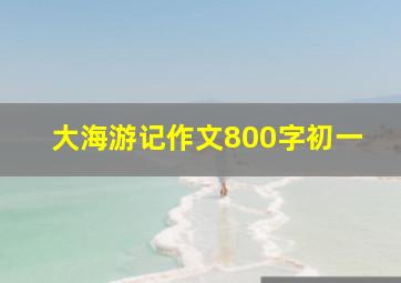 大海游记作文800字初一