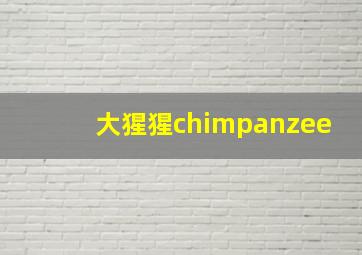 大猩猩chimpanzee