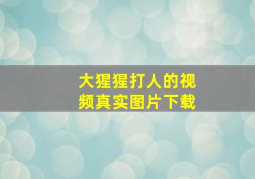 大猩猩打人的视频真实图片下载