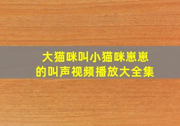 大猫咪叫小猫咪崽崽的叫声视频播放大全集