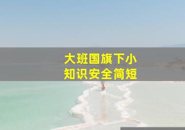 大班国旗下小知识安全简短