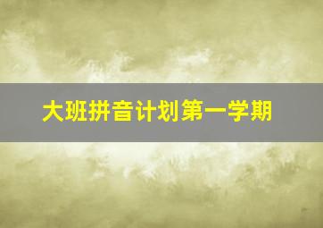 大班拼音计划第一学期