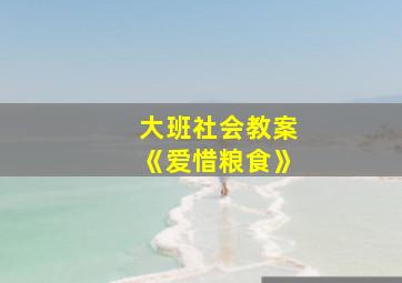 大班社会教案《爱惜粮食》