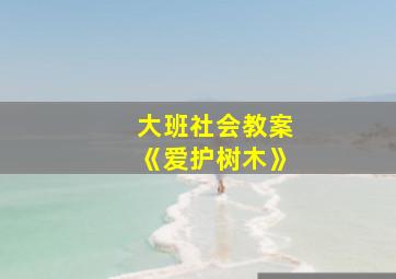 大班社会教案《爱护树木》