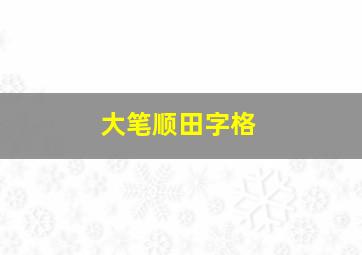 大笔顺田字格