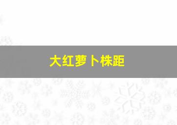 大红萝卜株距