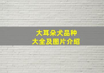 大耳朵犬品种大全及图片介绍