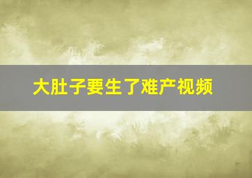 大肚子要生了难产视频