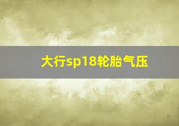 大行sp18轮胎气压