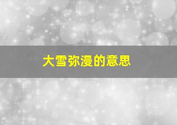 大雪弥漫的意思