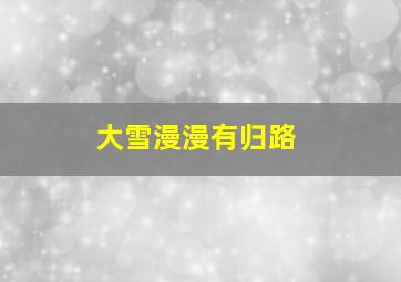 大雪漫漫有归路