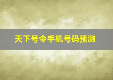 天下号令手机号码预测