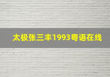 太极张三丰1993粤语在线