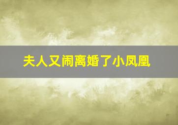 夫人又闹离婚了小凤凰