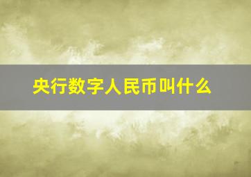 央行数字人民币叫什么