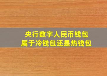 央行数字人民币钱包属于冷钱包还是热钱包