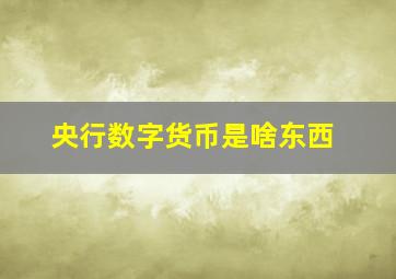 央行数字货币是啥东西