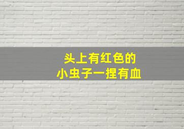 头上有红色的小虫子一捏有血