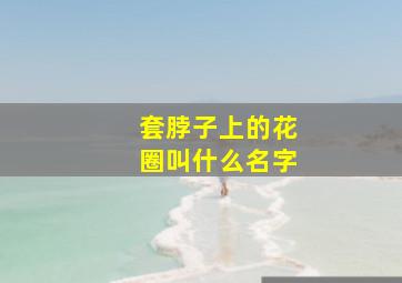 套脖子上的花圈叫什么名字