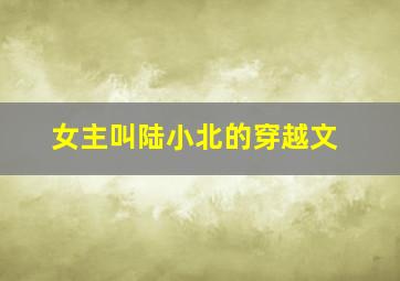 女主叫陆小北的穿越文