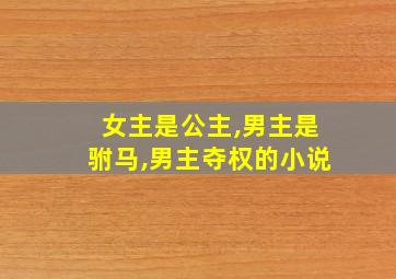 女主是公主,男主是驸马,男主夺权的小说