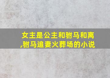 女主是公主和驸马和离,驸马追妻火葬场的小说