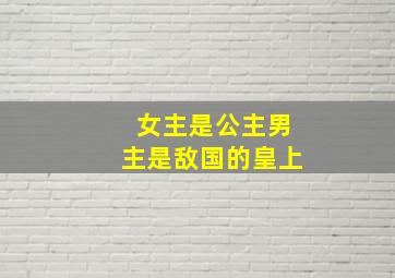 女主是公主男主是敌国的皇上