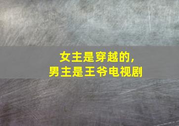 女主是穿越的,男主是王爷电视剧