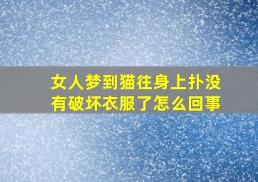 女人梦到猫往身上扑没有破坏衣服了怎么回事