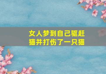 女人梦到自己驱赶猫并打伤了一只猫