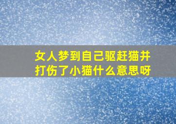 女人梦到自己驱赶猫并打伤了小猫什么意思呀