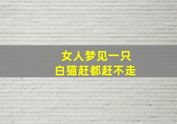 女人梦见一只白猫赶都赶不走