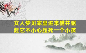 女人梦见家里进来猫并驱赶它不小心压死一个小孩