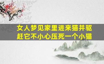 女人梦见家里进来猫并驱赶它不小心压死一个小猫