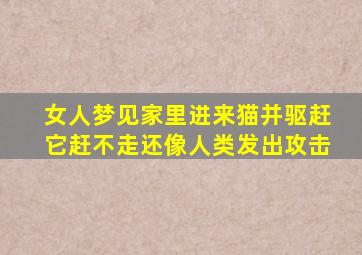 女人梦见家里进来猫并驱赶它赶不走还像人类发出攻击