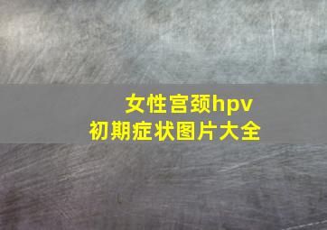 女性宫颈hpv初期症状图片大全