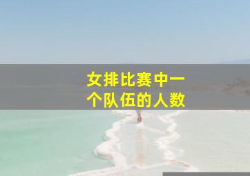 女排比赛中一个队伍的人数