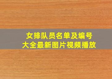 女排队员名单及编号大全最新图片视频播放