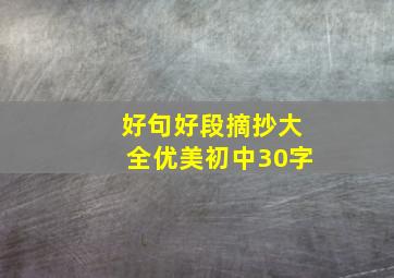 好句好段摘抄大全优美初中30字