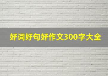 好词好句好作文300字大全