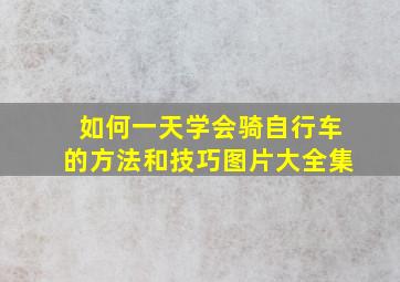 如何一天学会骑自行车的方法和技巧图片大全集