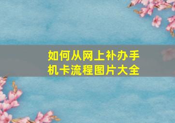 如何从网上补办手机卡流程图片大全