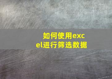 如何使用excel进行筛选数据