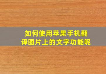 如何使用苹果手机翻译图片上的文字功能呢