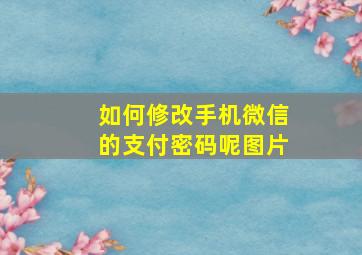 如何修改手机微信的支付密码呢图片