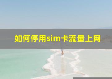 如何停用sim卡流量上网