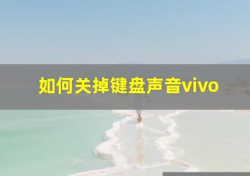 如何关掉键盘声音vivo