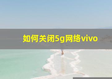 如何关闭5g网络vivo